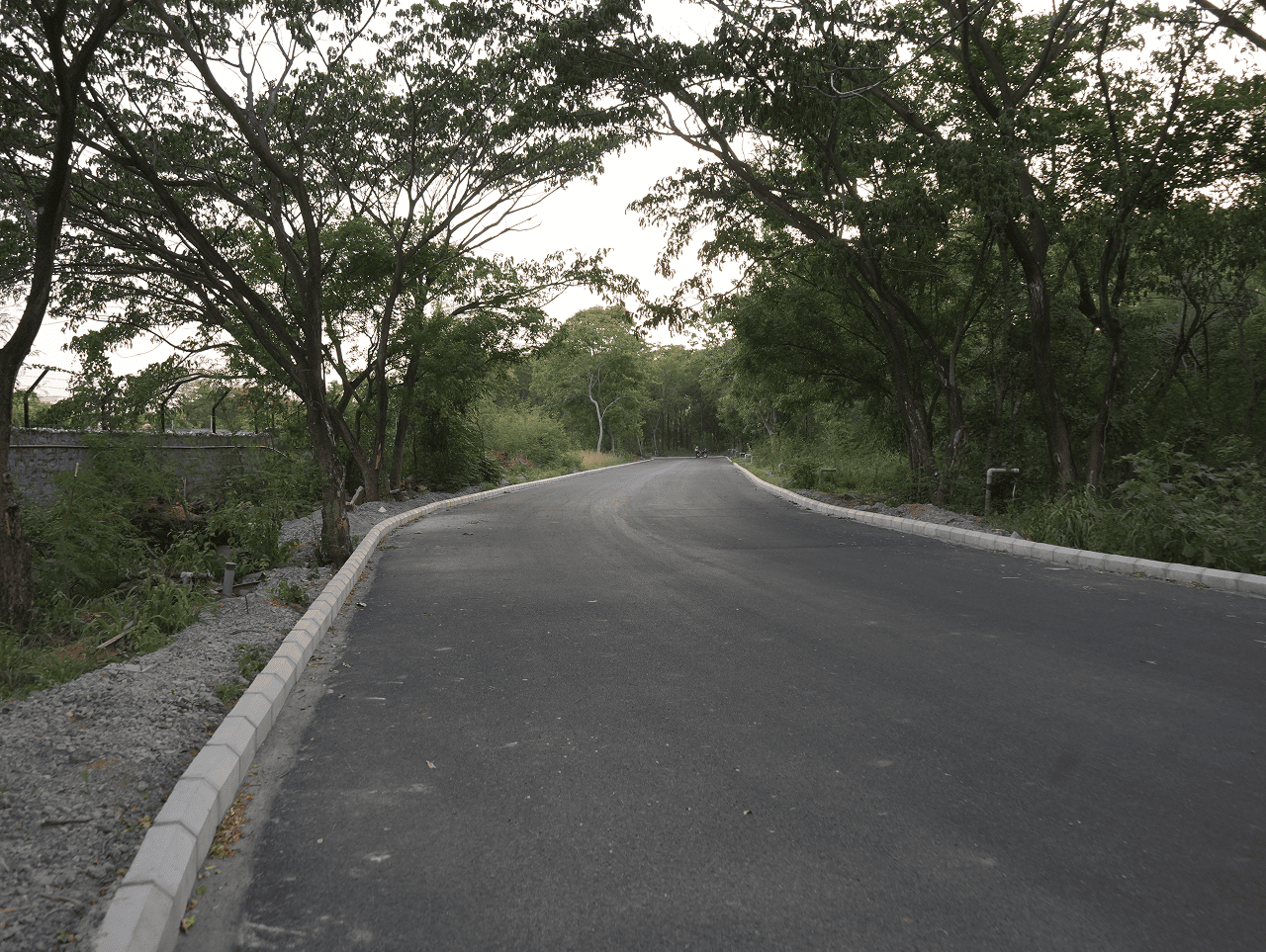 road-construction_3
